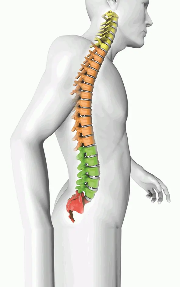 STR&Ouml;DTER R&uuml;cken Hebehilfe